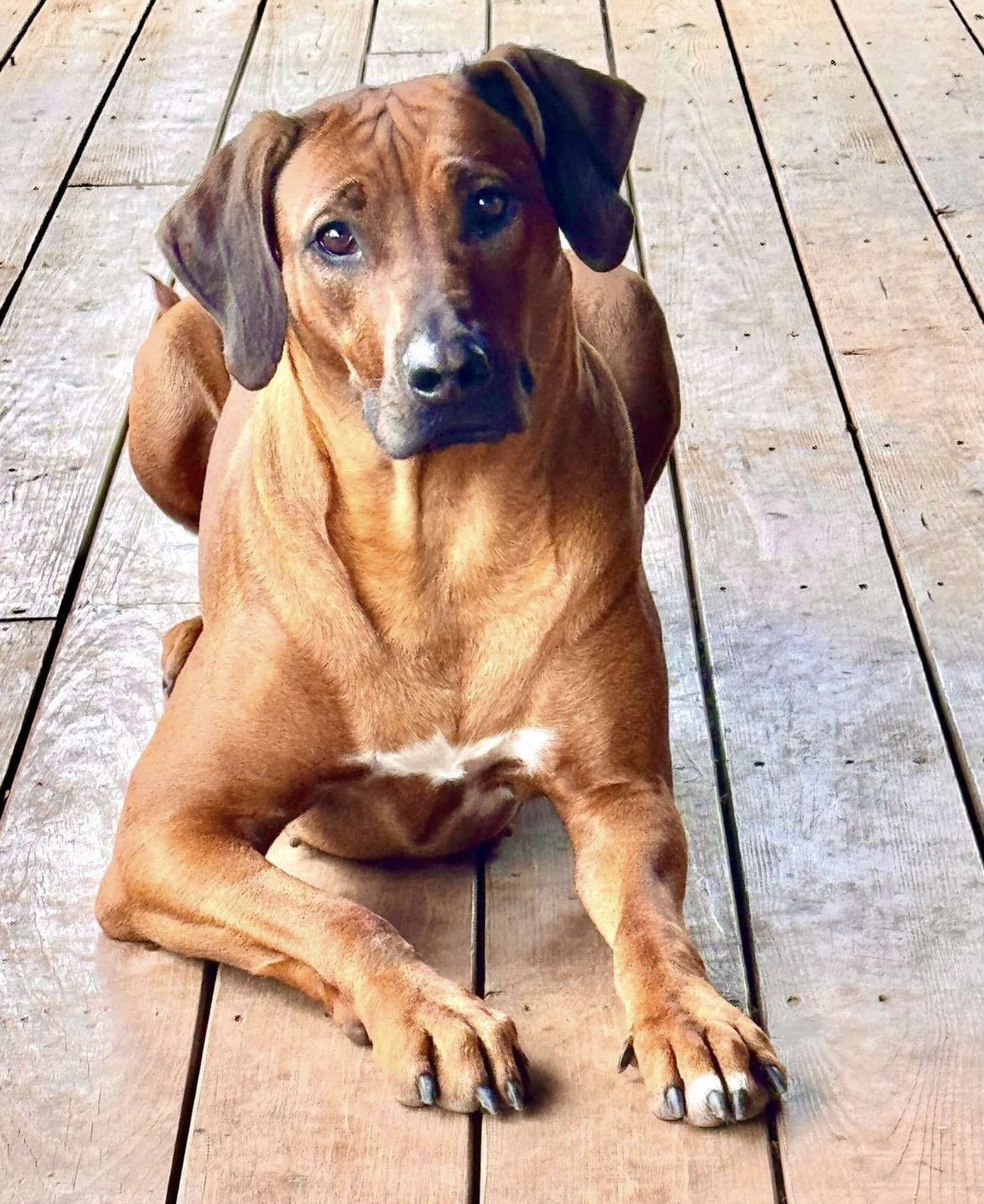 Delilah standing